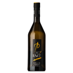 Malvasia