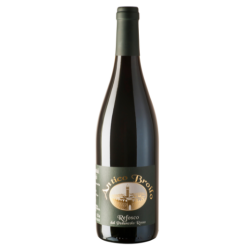 Refosco dal Peduncolo Rosso