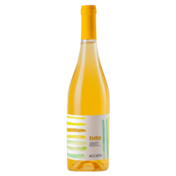 Evelyn, Verdicchio Macerato
