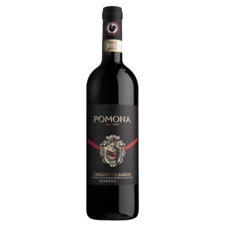 Chianti Classico Gran Selezione L’Omino