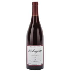 Blauburgunder, Pinot Nero