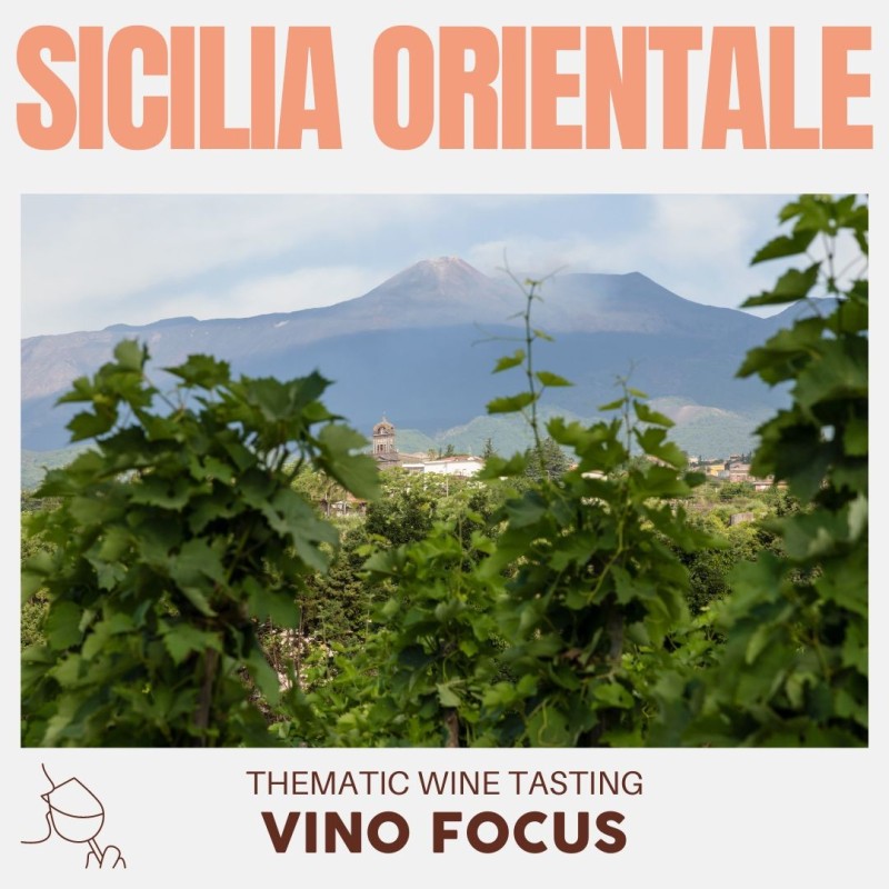 Vino Focus: Sicilia Orientale