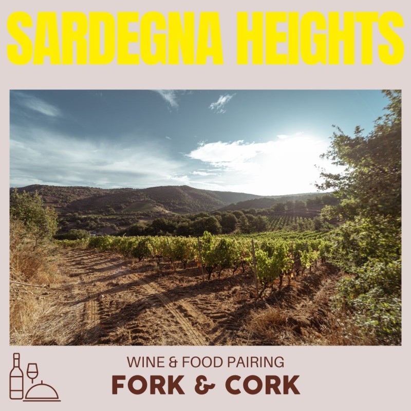 Fork & Cork: Sardegna Heights