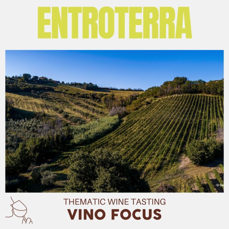 Vino Focus: Entroterra