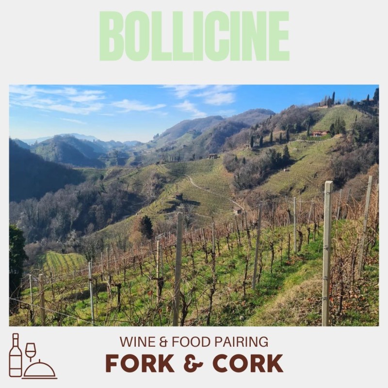 Fork & Cork: Bollicine