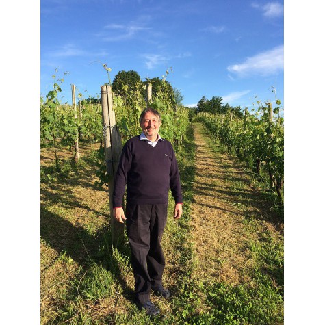 Vigneti di Cantalupo